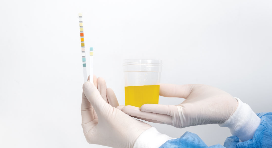 Descripción de la imagen